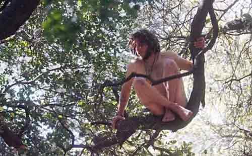 Naked in tree
